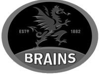 Brains - Copy